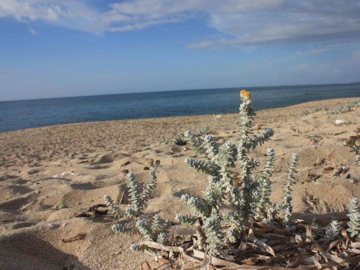 Mare Di Ginepri Daire Badesi Dış mekan fotoğraf